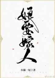 ��Ҫ����