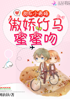 ��ϵС��÷������������������