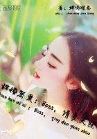 ����ܰ���Boss��������