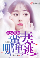 ���龯̽������������