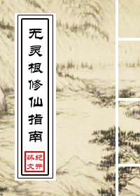 ���������ָ��