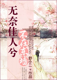 无奈佳人兮不在东墙 无奈佳人兮不在东墙