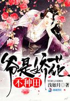 ү�ǽ����������