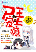 御鬼师:尸王宠上瘾 御鬼师:尸王宠上瘾