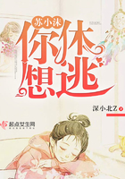 ��Сĭ���������ӣ�