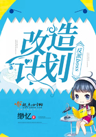 ����boss����ƻ�