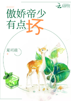 ���������е㻵