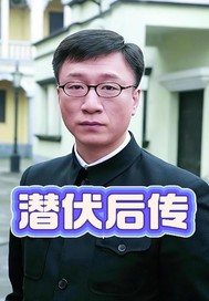 潜伏后传 潜伏后传