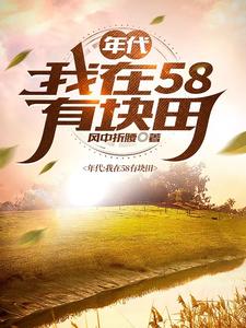 年代:我在58有块田 年代:我在58有块田