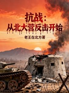 抗战:从北大营反击开始 抗战:从北大营反击开始