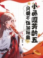 С�Ǹ·����壬ֻ���ɷ������