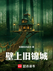 壁上旧锦城 壁上旧锦城