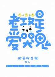 �Ϲ��ǰ��޹�