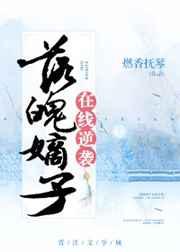 ���ǵ���������Ϯ