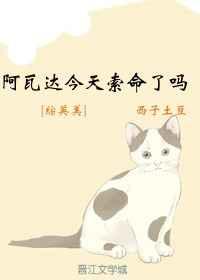 [��Ӣ��]���ߴ������������