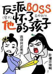 ����BOSS�������ĺ���[����]