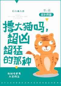 ߣ��è�𣬳��׳��͵����֣�