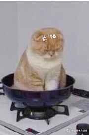 ������ǿӲ����