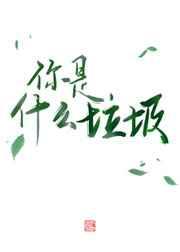 ����ʲô����